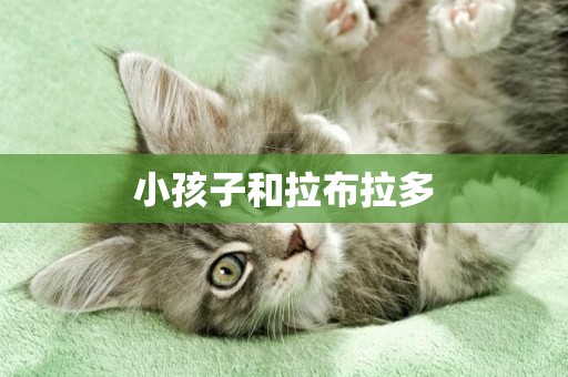 小孩子和拉布拉多