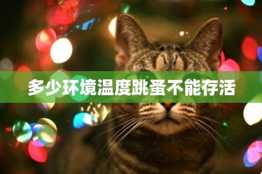 多少環境溫度跳蚤不能存活