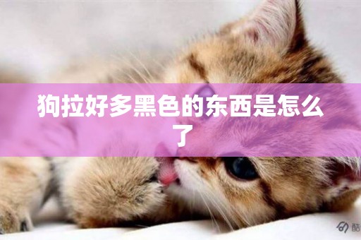 狗拉好多黑色的東西是怎么了