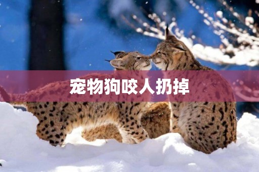 寵物狗咬人扔掉