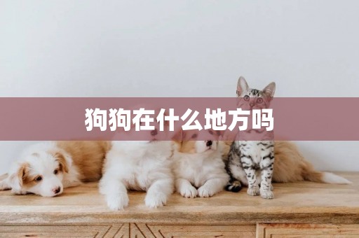 狗狗在什么地方嗎