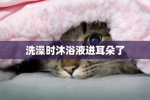 洗澡時沐浴液進耳朵了