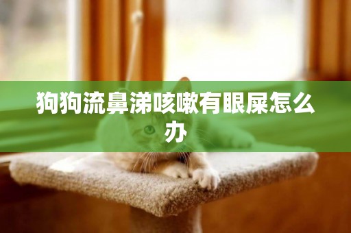 狗狗流鼻涕咳嗽有眼屎怎么辦