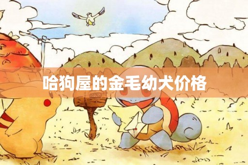 哈狗屋的金毛幼犬價格