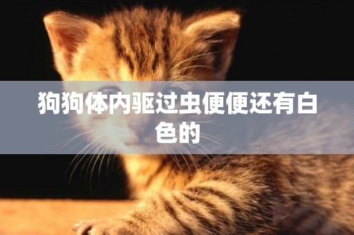 狗狗體內驅過蟲便便還有白色的