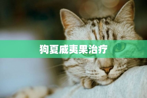 狗夏威夷果治療