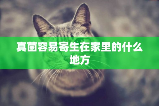 真菌容易寄生在家里的什么地方