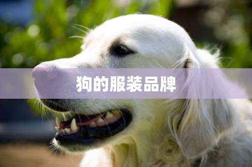 狗的服裝品牌