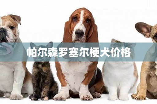 帕爾森羅塞爾梗犬價格