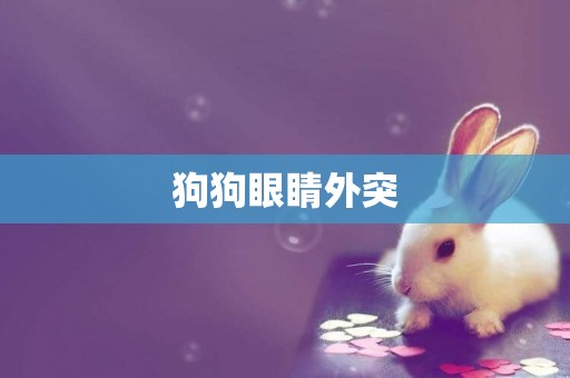 狗狗眼睛外突
