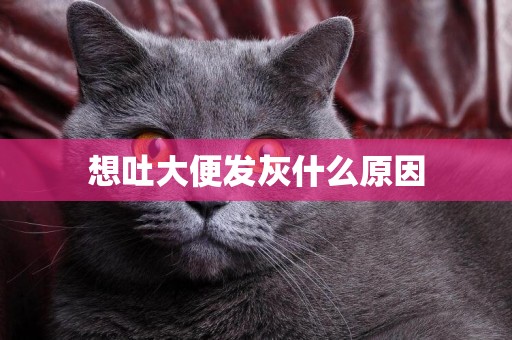 想吐大便發灰什么原因