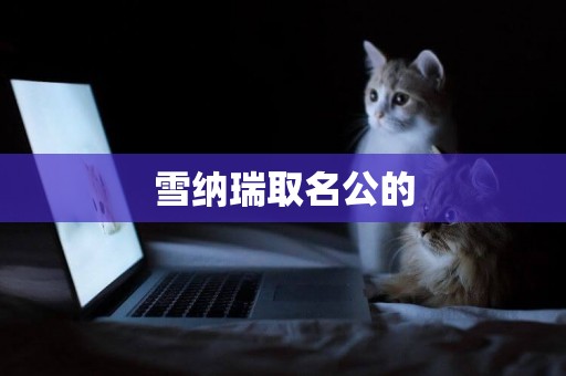 雪納瑞取名公的