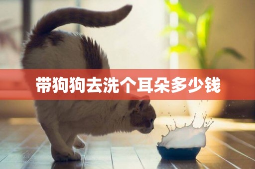 帶狗狗去洗個耳朵多少錢