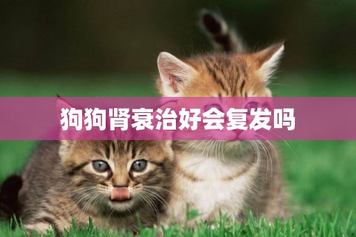 狗狗腎衰治好會復發嗎