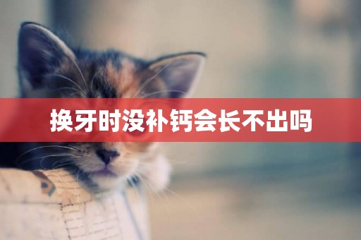 換牙時沒補鈣會長不出嗎