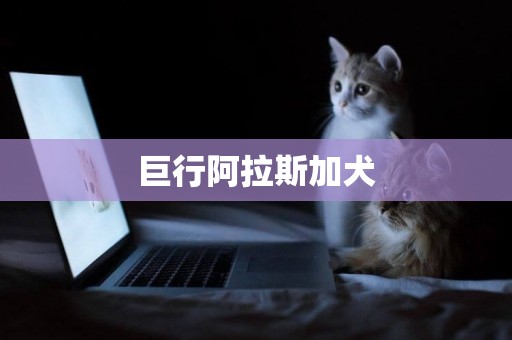巨行阿拉斯加犬