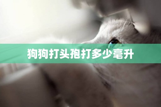 狗狗打頭孢打多少毫升