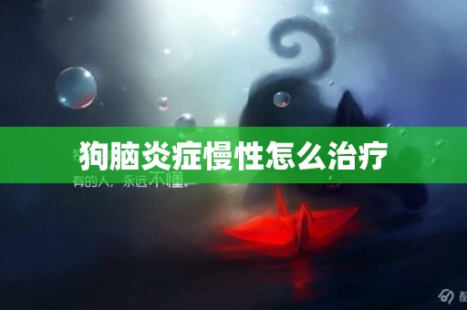 狗腦炎癥慢性怎么治療