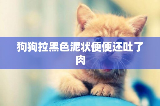 狗狗拉黑色泥狀便便還吐了肉