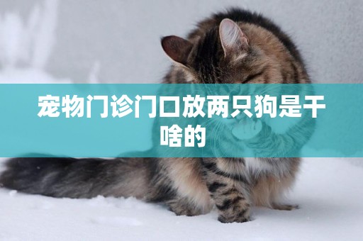 寵物門診門口放兩只狗是干啥的