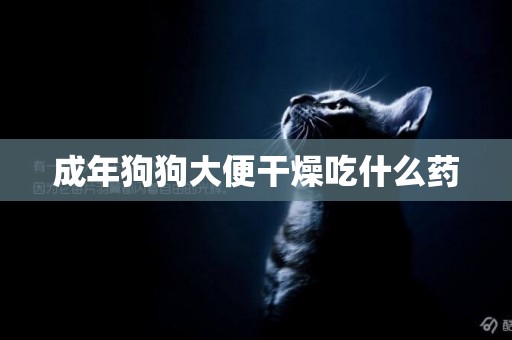 成年狗狗大便干燥吃什么藥