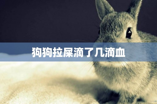 狗狗拉屎滴了幾滴血