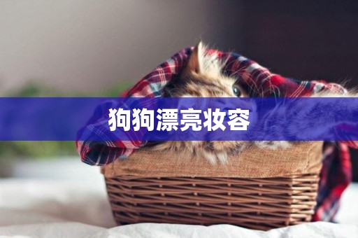 狗狗漂亮妝容