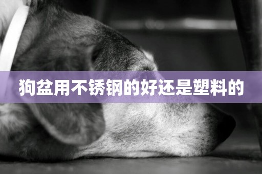狗盆用不銹鋼的好還是塑料的