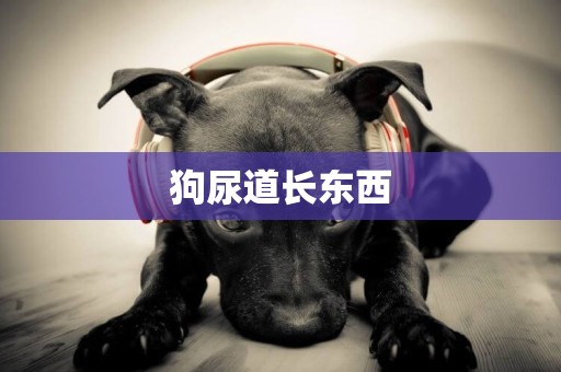 狗尿道長東西