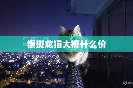 銀斑龍貓大概什么價
