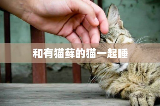 和有貓蘚的貓一起睡