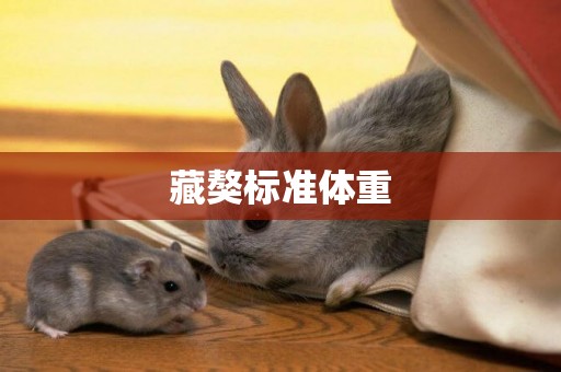 藏獒標準體重