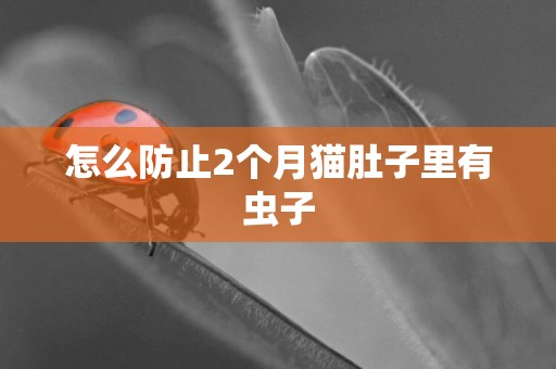 怎么防止2個月貓肚子里有蟲子