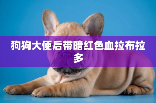 狗狗大便后帶暗紅色血拉布拉多
