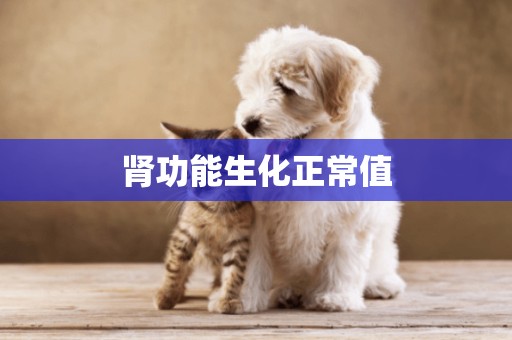 腎功能生化正常值