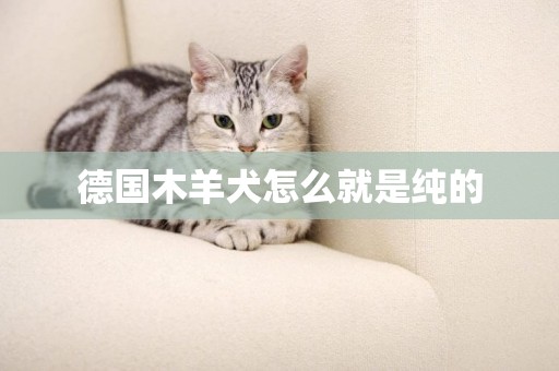 德國木羊犬怎么就是純的
