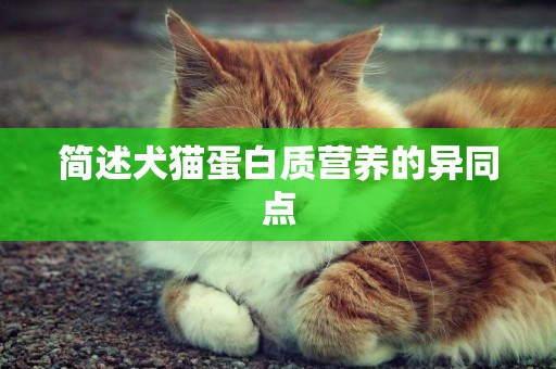 簡述犬貓蛋白質營養的異同點