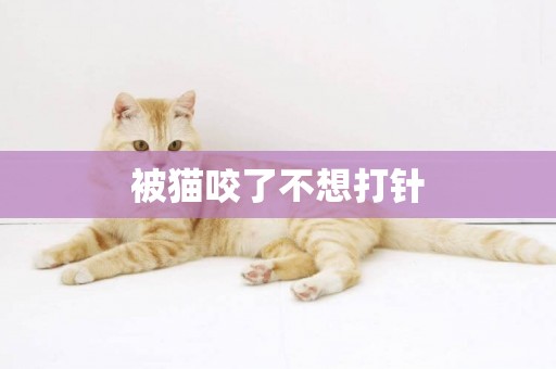 被貓咬了不想打針