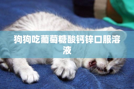 狗狗吃葡萄糖酸鈣鋅口服溶液
