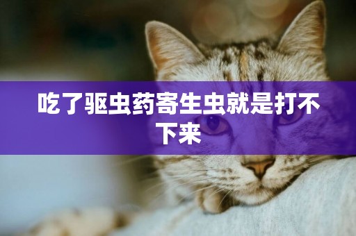 吃了驅蟲藥寄生蟲就是打不下來