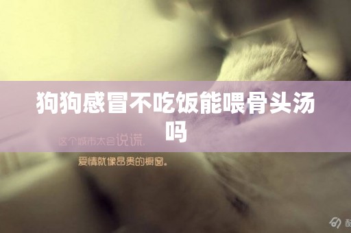 狗狗感冒不吃飯能喂骨頭湯嗎