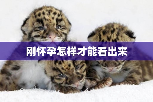 剛懷孕怎樣才能看出來