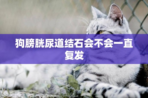 狗膀胱尿道結石會不會一直復發