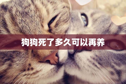 狗狗死了多久可以再養