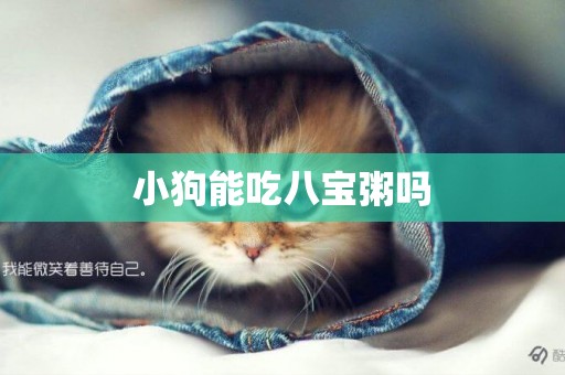 小狗能吃八寶粥嗎
