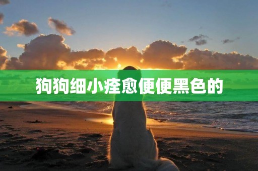 狗狗細小痊愈便便黑色的