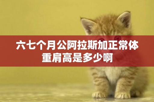 六七個月公阿拉斯加正常體重肩高是多少啊