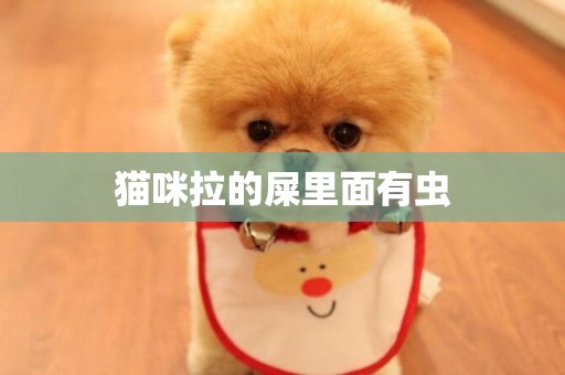 貓咪拉的屎里面有蟲
