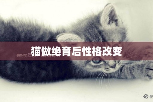 貓做絕育后性格改變
