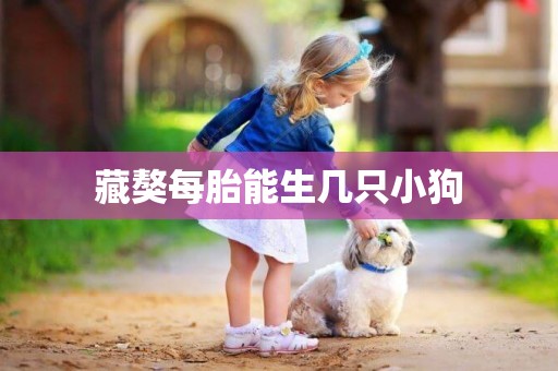 藏獒每胎能生幾只小狗